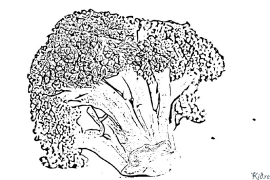 brocoli Tudalennau Lliwio Y Gellir Eu Hargraffu